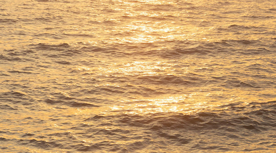The Bright Dose – From Dull to Dazzling